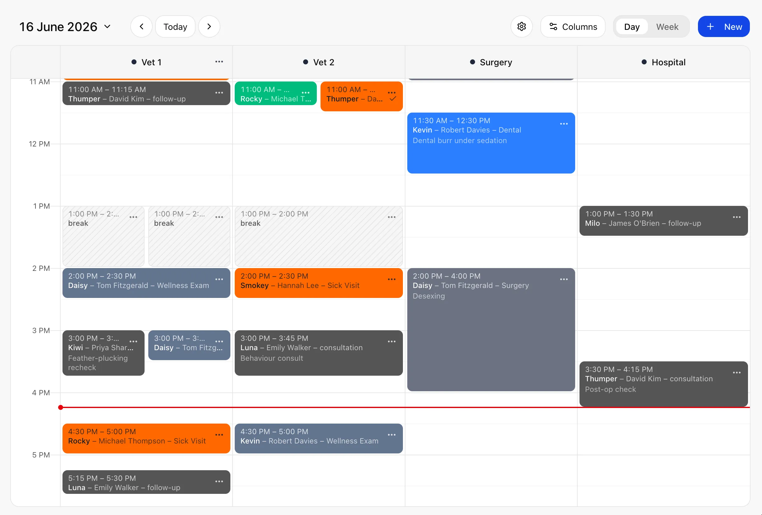 Wattle Clinic schedule: day view, a lane per vet