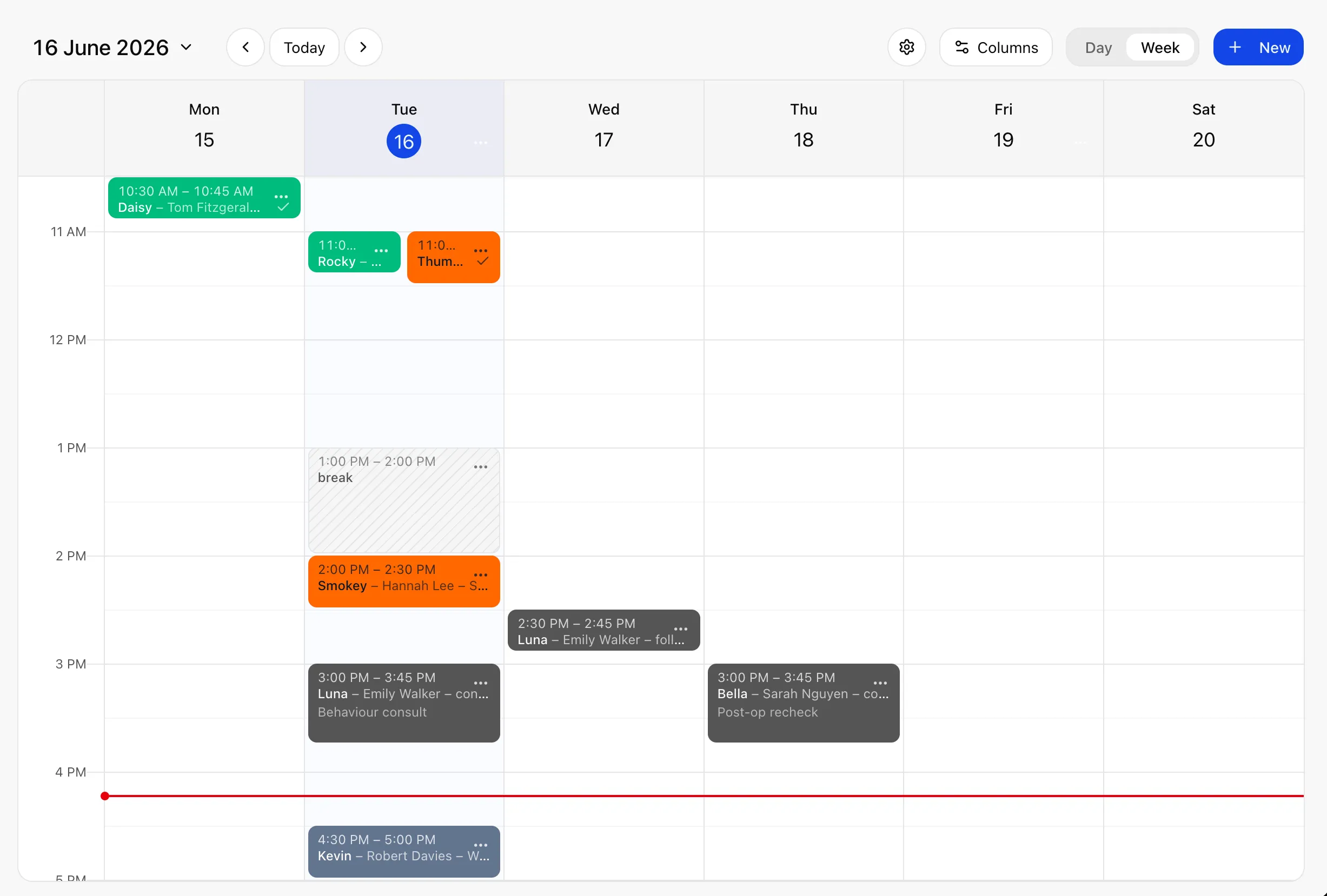 Wattle Clinic schedule: week view